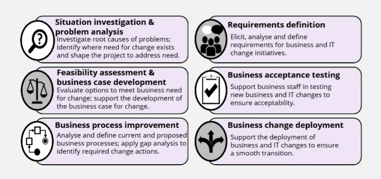 Image with six sections: Situation investigation and problem analysis, feasibility assessment and business care development, business process improvement, requirements definition, business acceptance testing and business change development